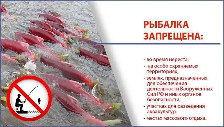 До какого числа нельзя ловить