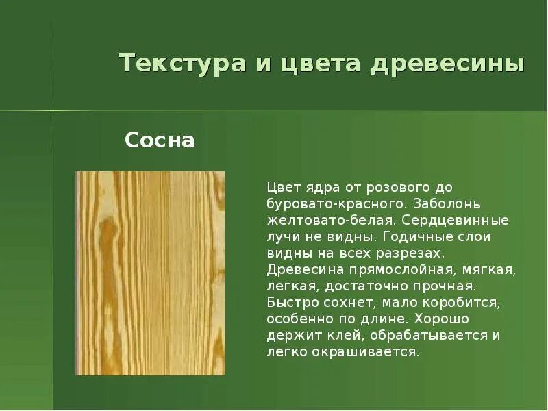 Цвет дерева значение