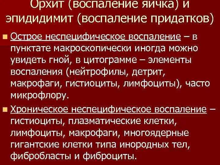 Воспаление яичка лечение антибиотиками