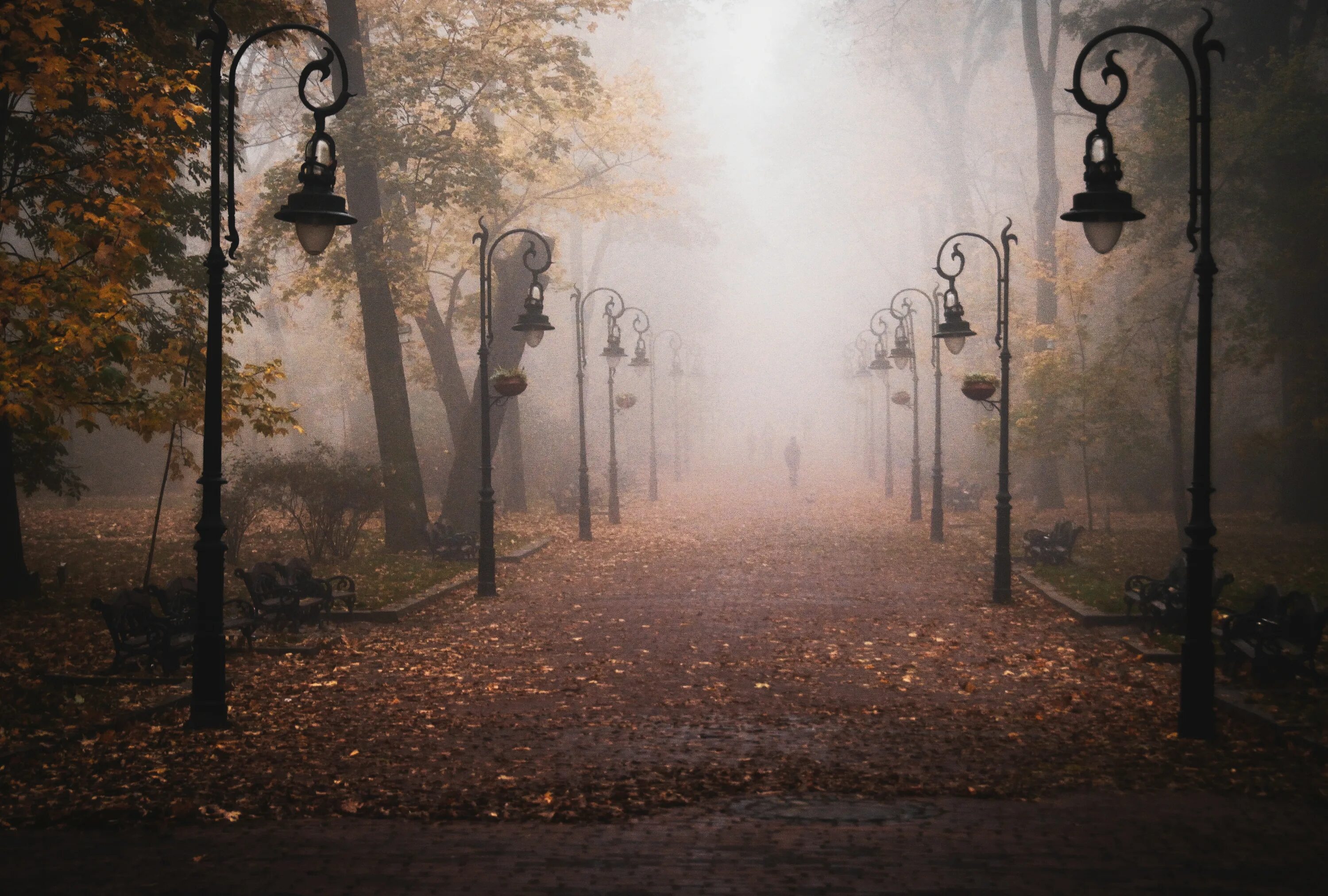 Мрачные аллеи. Фонарь в тумане. Фонари в парке. Аллея с фонарями. Осень парк туман.