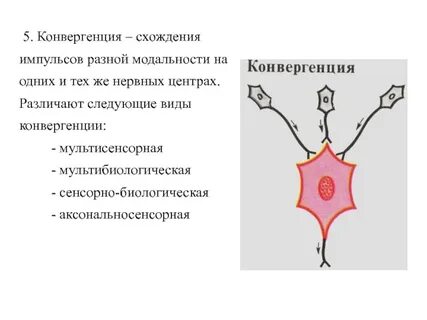 Фоновая активность