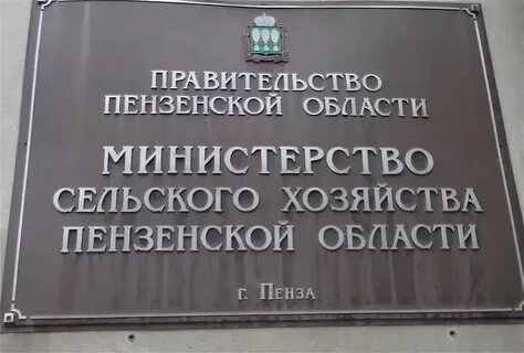 Мсх гов