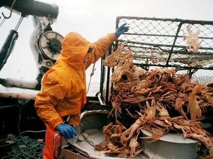 Промысловые моря