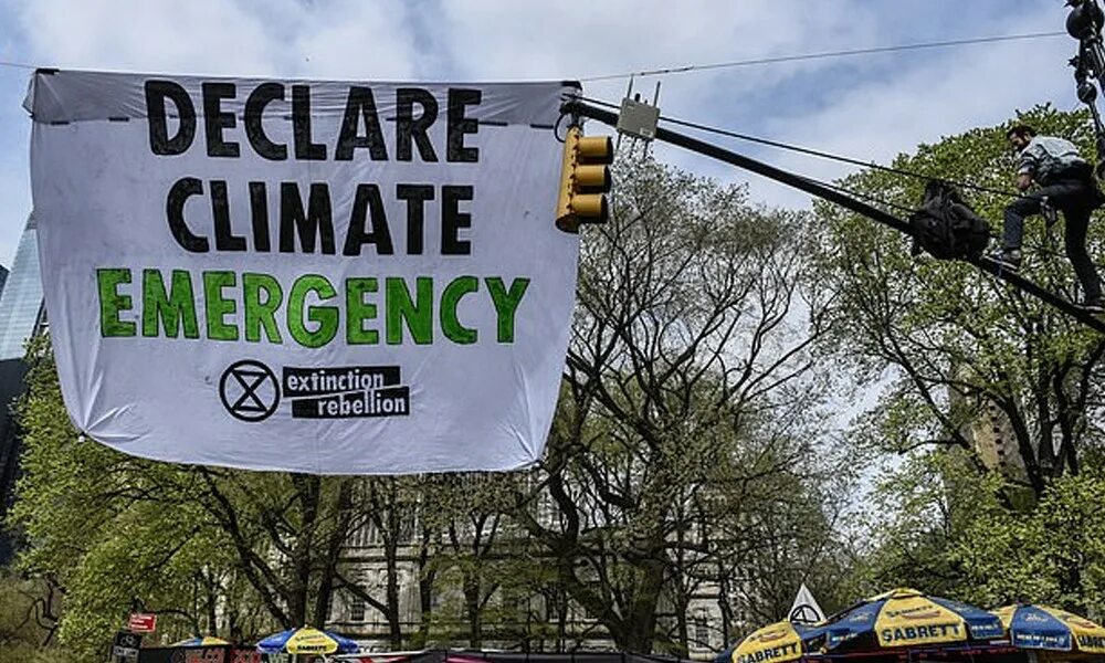 Declare meaning. Climate Emergency. Extinction climate Emergency. Climate Emergency Reports. Climate Emergency карта.