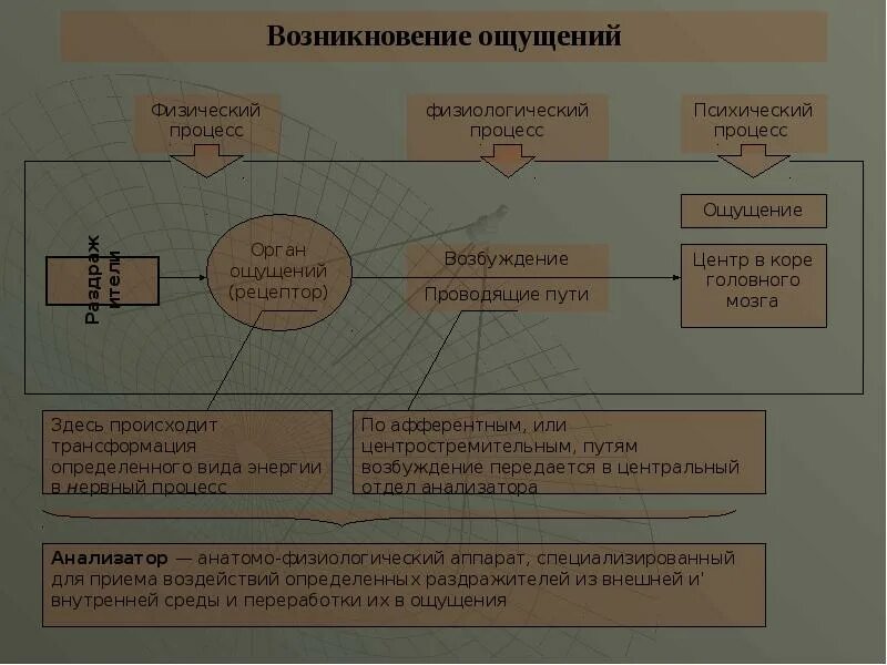 8 познавательных процессов. Познавательные процессы бланки. Схема взаимодействия речь и когнитивных процессов. Познавательный процесс досократики. Когнитивные процессы реферат по психологии.