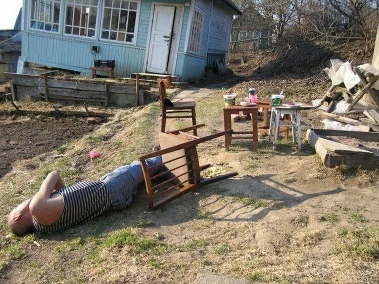 Когда у садовника есть чувство юмора. Смешной садовый дизайн - 16 фото Дачная фа