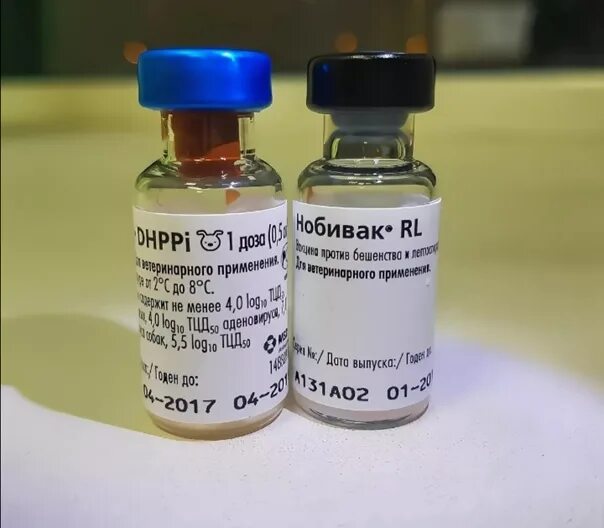 Вакцина пиродог. Нобивак DHPPI Nobivac DHPPI. Нобивак DHPPI + L для щенков. Нобивак DHPPI l4 Rabies. Нобивак DHPPI + Rabies вакцина для собак.