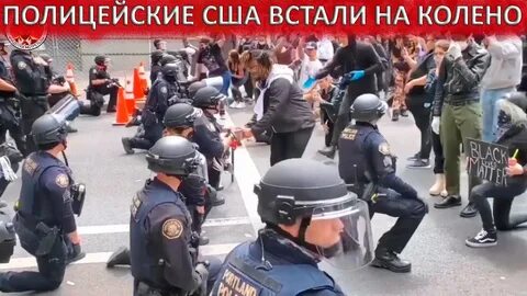 Полиция извинилась