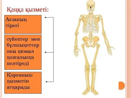 Порно папа трахает қызын онлайн
