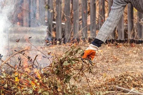 Песня осень зажгла костры