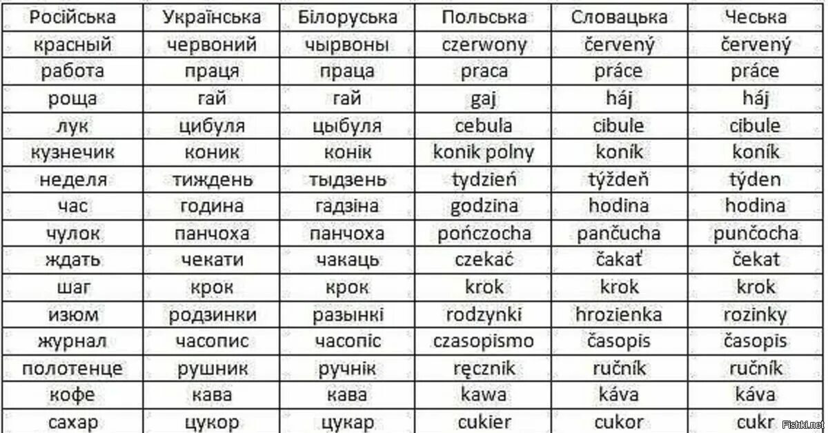 Украинские слова. Белорусские слова. Украинские слова на русском. Таблица слов славянских языков. Перевести слово с украинского на русский