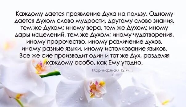 Каждому даётся проявление духа на пользу. Дары различны но дух. Одному даётся слово мудрости. Дары различны но дух один и тот же и служения различны. Духа на каждый день