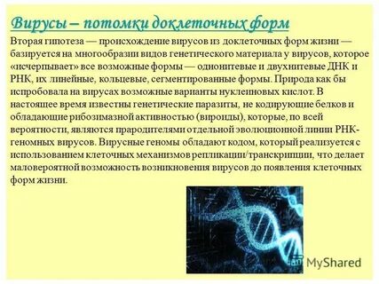 Вирус вещество
