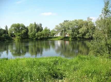 Коптево тульская область