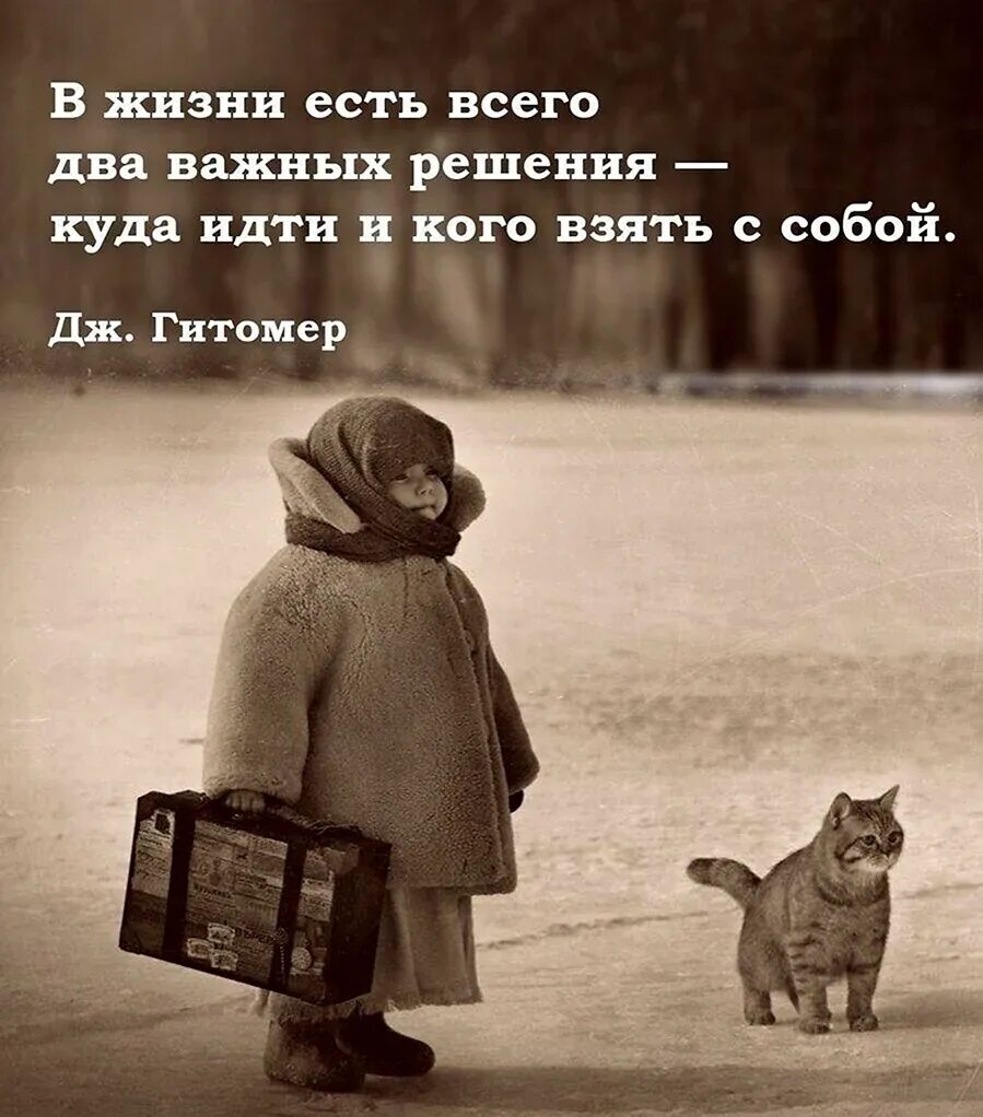 Я важнее всего. В жизни два важных решения. в жизни есть всего два важных решения куда идти и кого взять с собой. в жизни есть всего два важных решения. цитаты.