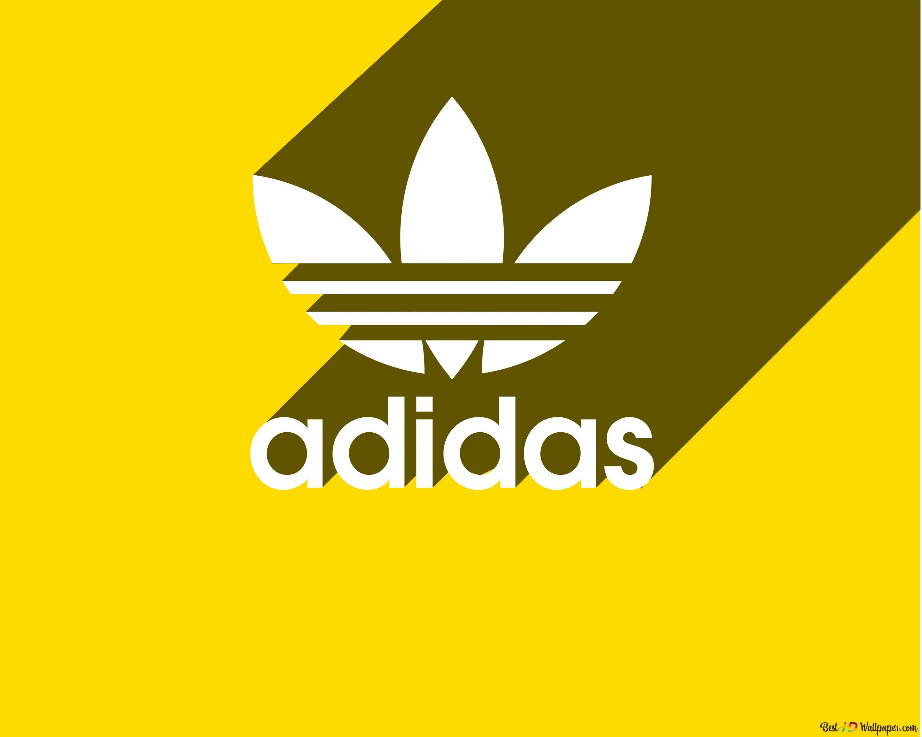 Адидас лого 2021. Adidas логотип желтый. Adidas обои. Картинки адидас. Адидас на английском