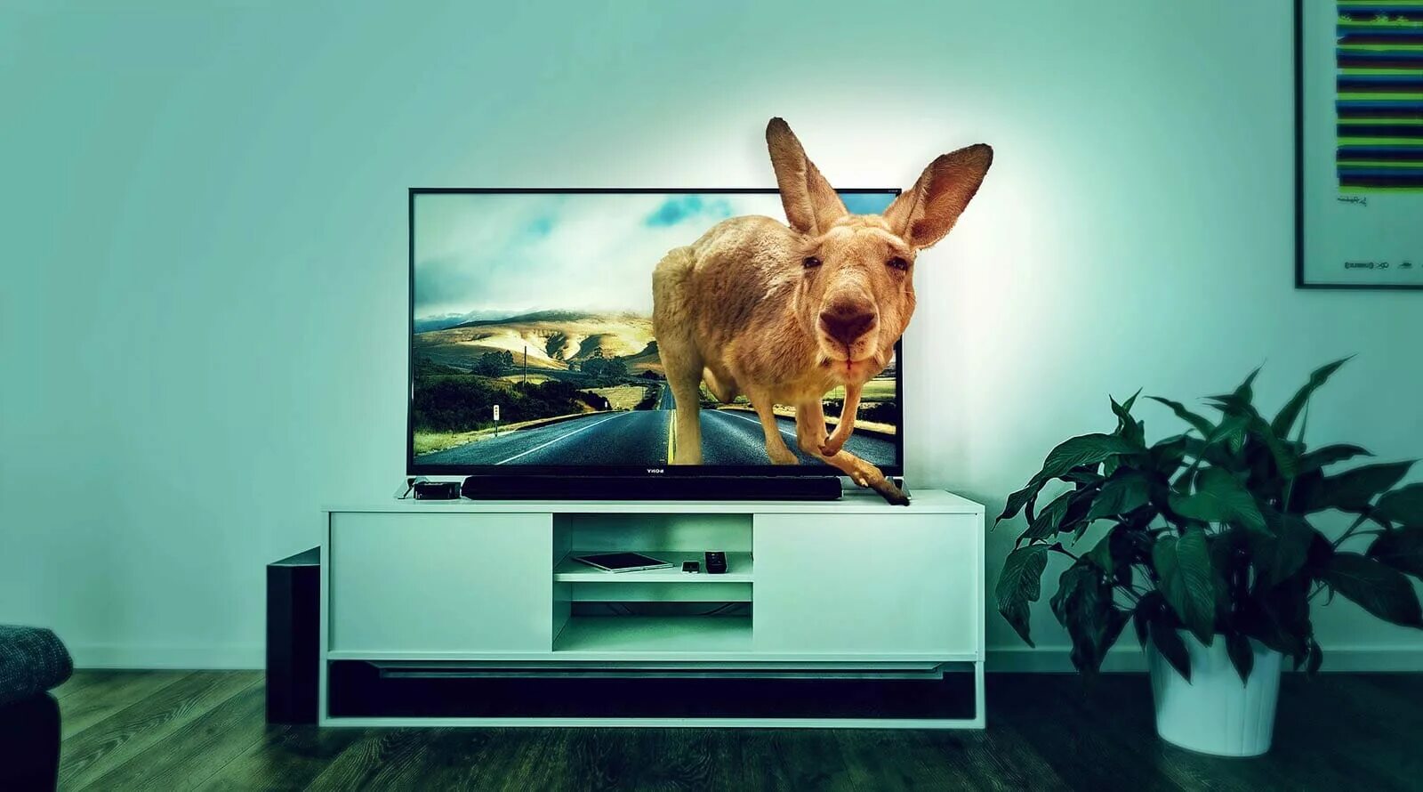 Включи на телевизоре животных. Телевизор с функцией 3d. 3д телевизоры проекты. 3д телевизор фото. Реклама 4k.