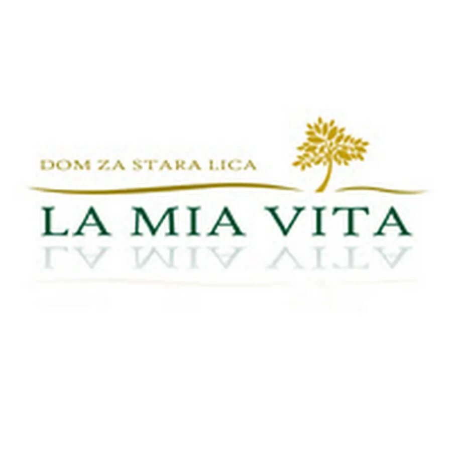 Картинка тумблер rules. La mia vita. Текст la mia vita b1 cittadinanza. Mea vita, mea leges красивым шрифтом. La mia vita.