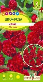 Рассада семена алтая
