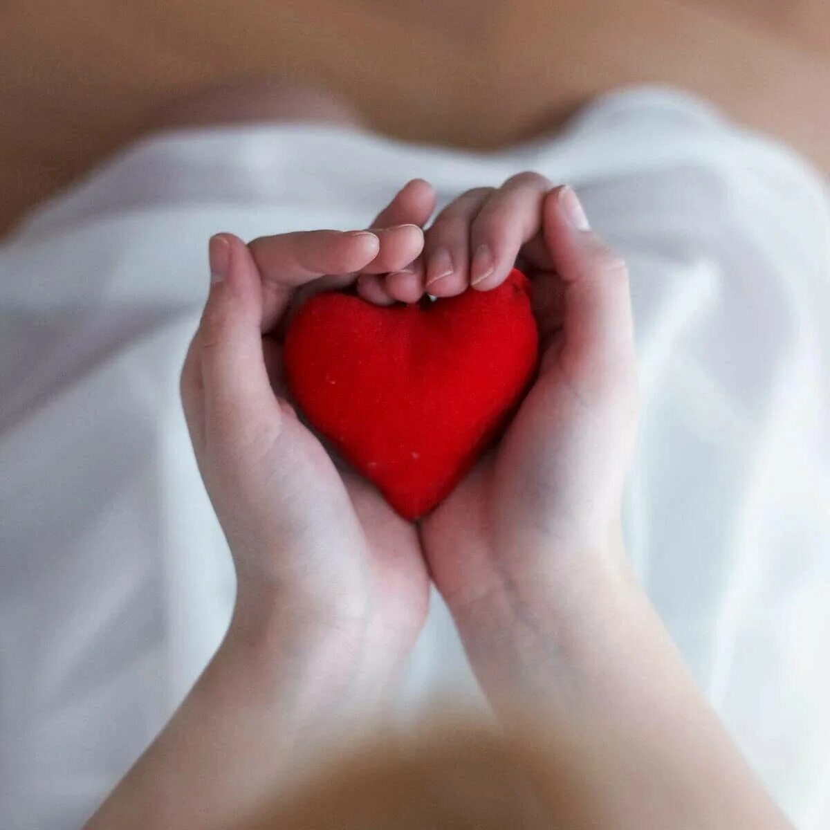 Твое невероятное сердце. Сердце в руках. Сеhlwt d Hef[. Сердечко руками. Девушка с сердцем в руках.