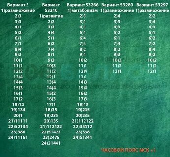 Вариант статград по химии 2024