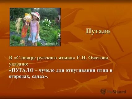 Чучело только видом пугает значение пословицы