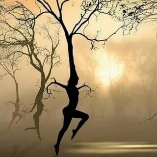 Dancing tree