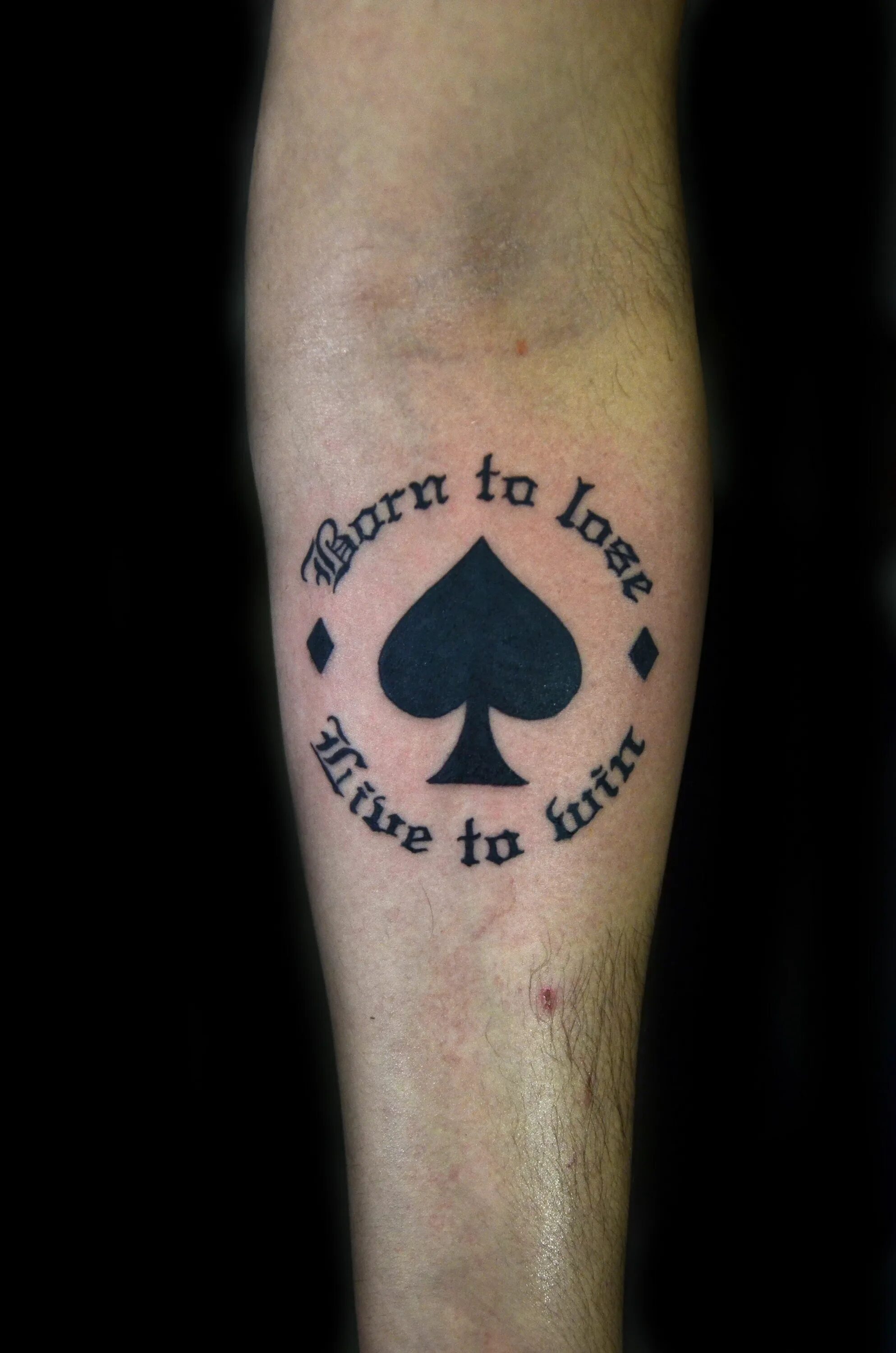 Моменто море тату. Windows vista theme for windows 7. Windows live games аватарки. Xbox live приложение. To live is to win.