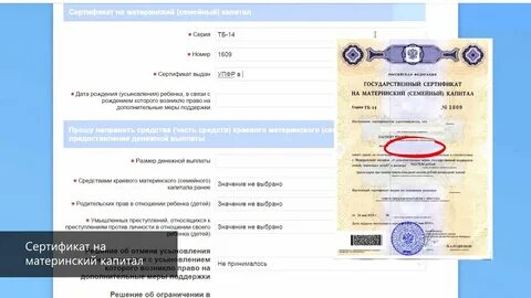 Номер материнского капитала сертификат