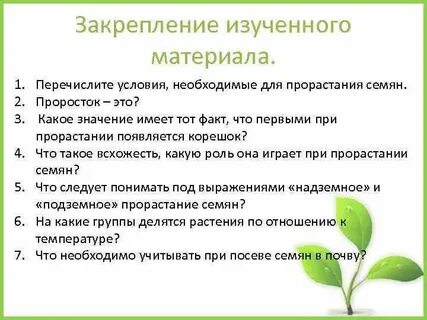 Развития проростка условия для прорастания семян