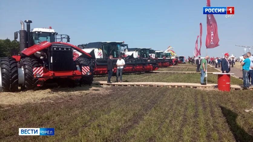 День поля орел 2023. День поля орловская область. День поля орловская область. День поля орловская область. День поля.