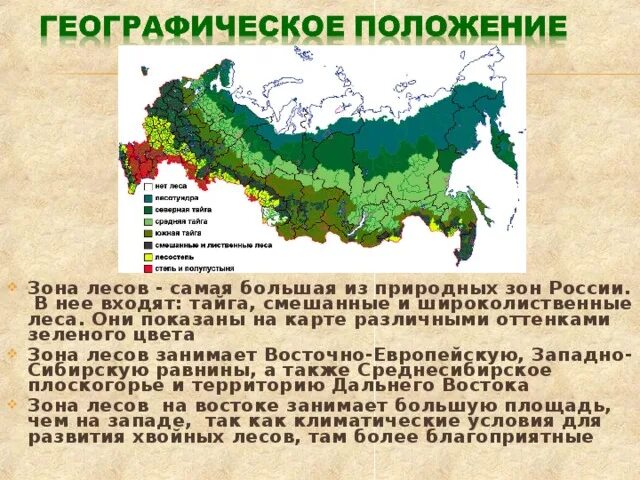 Географическое положение тайги 8 класс. Где на карте находится смешанные и широколиственные леса. Где находятся смешанные и широколиственные леса на карте России. Где находятся широколиственные леса на карте. Где находятся смешанные леса на карте.