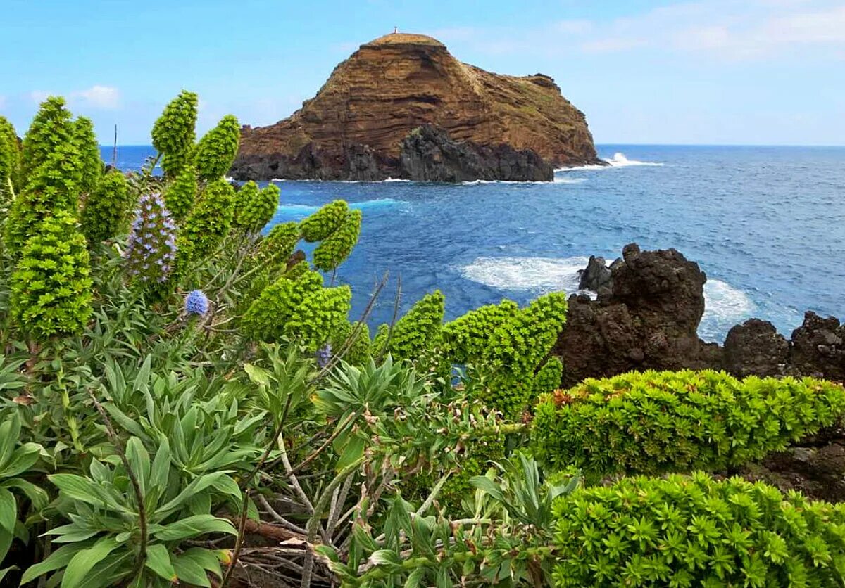 Португальский остров. Мадейра остров. Мадейра Португалия. Архипелаг Мадейра, Португалия. Мадейра горы.