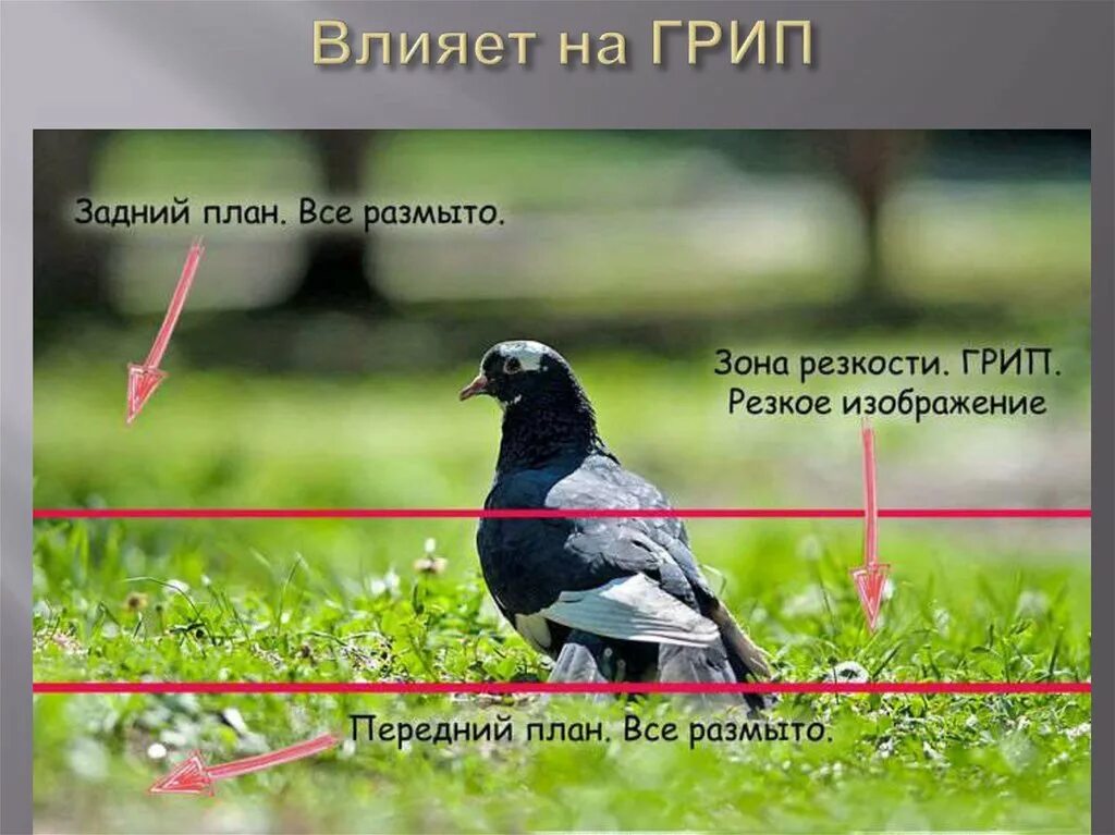 Григорьева вратарь. Репродукция картины с григорьева вратарь. Передний и задний план в живописи. Передний план. Что изображено на заднем плане.
