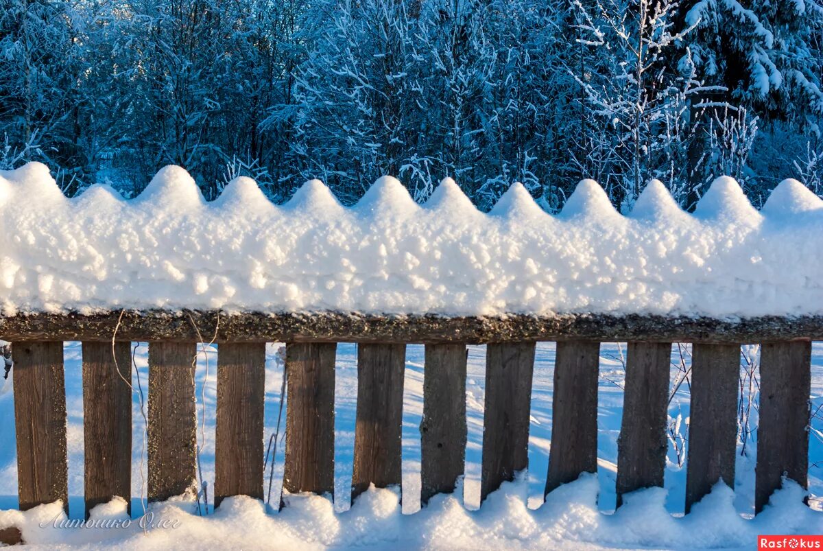 зимний забор. заснеженный забор. заснеженный забор. снежный забор. забор в снегу.