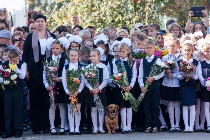 Школа 57 Новолуговое. Новолуговская школа 57 Новосибирского района. Новосибирск село Новолуговое школа номер 57. Школа 57 Новосибирск фото. Школа 57 новосибирск