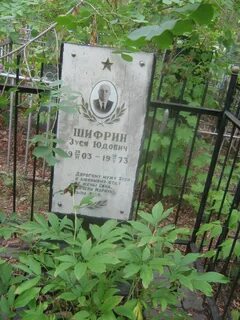 Зуся