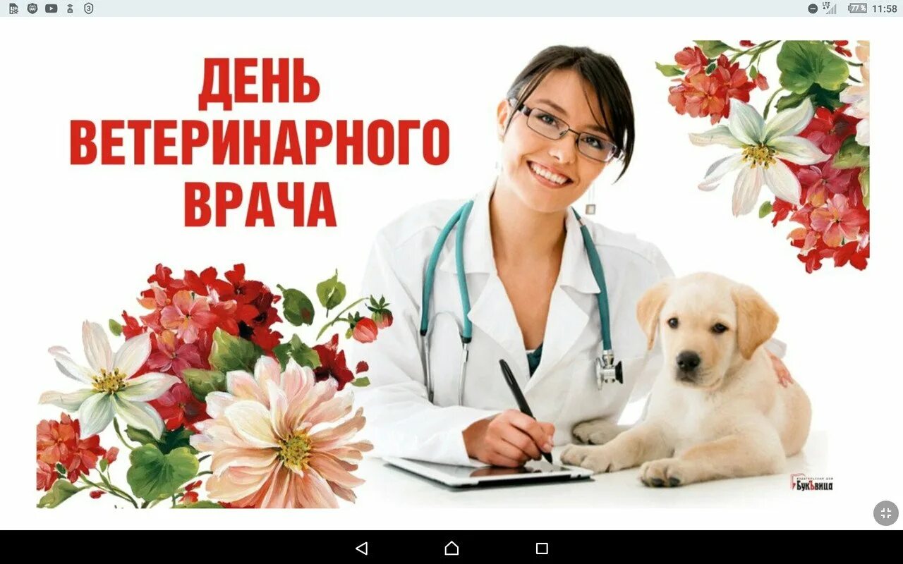С днем ветеринарного работника. С праздником ветеринара. С днёмветеринарного работника. С днем ветеринарного врача. С днем ветеринарного работника.