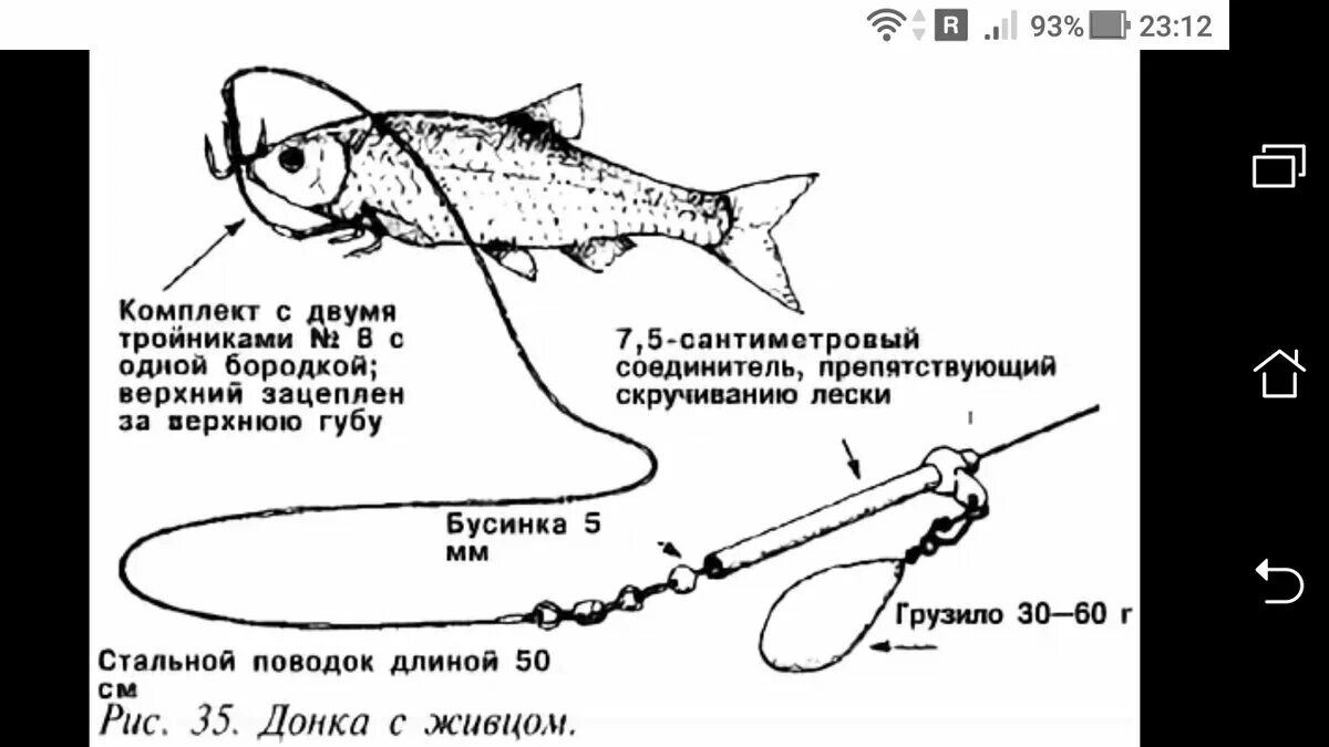 ловля на донки - Медиаплатформа МирТесен