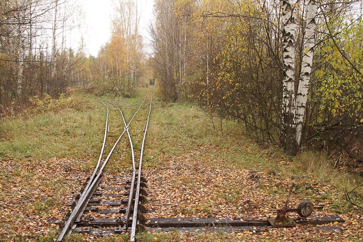 Узкоколейка Рязань Солотча. Рязанско-Владимирская узкоколейная железная дорога. Узкоколейка Рязань Тума. Узкоколейная железная дорога Рязань. Рязанская железная дорога