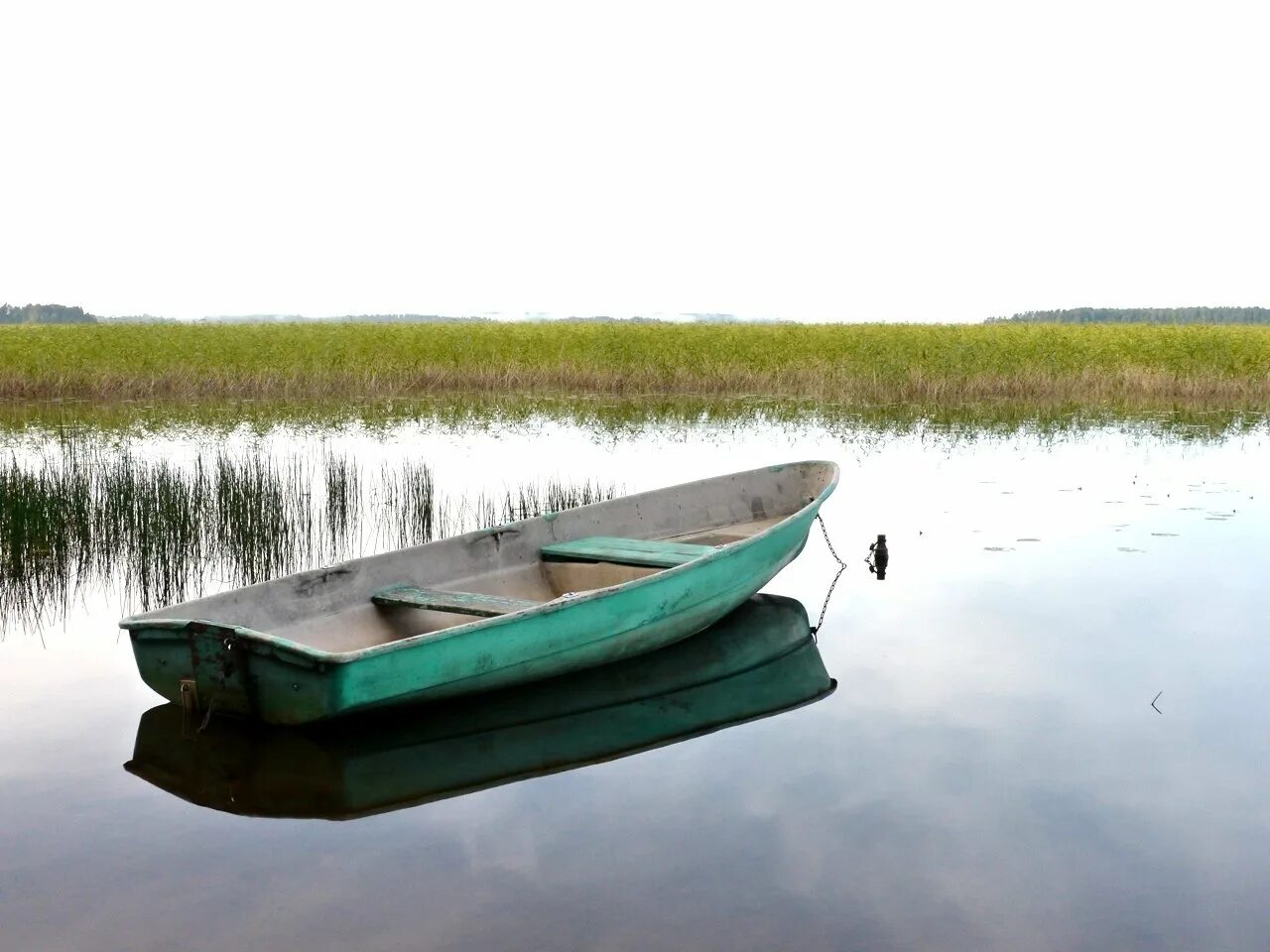 Лодка гребная «пелла-3,5». Пелла фиорд 430. Тент пелла фиорд. Лодка пелла фиорд. Лодка гребная лодка пелла.