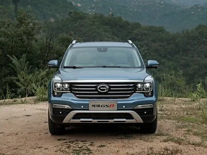 Газ gs 8