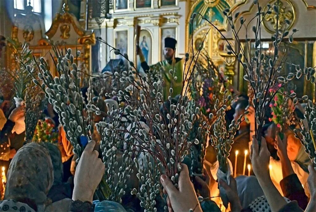 Вербное воскресенье что за праздник. Вход господень в иерусалим верба. вербное воскресенье православный праздник. верба церковь вербное воскресение. ветки вербного воскресения в иерусалиме.