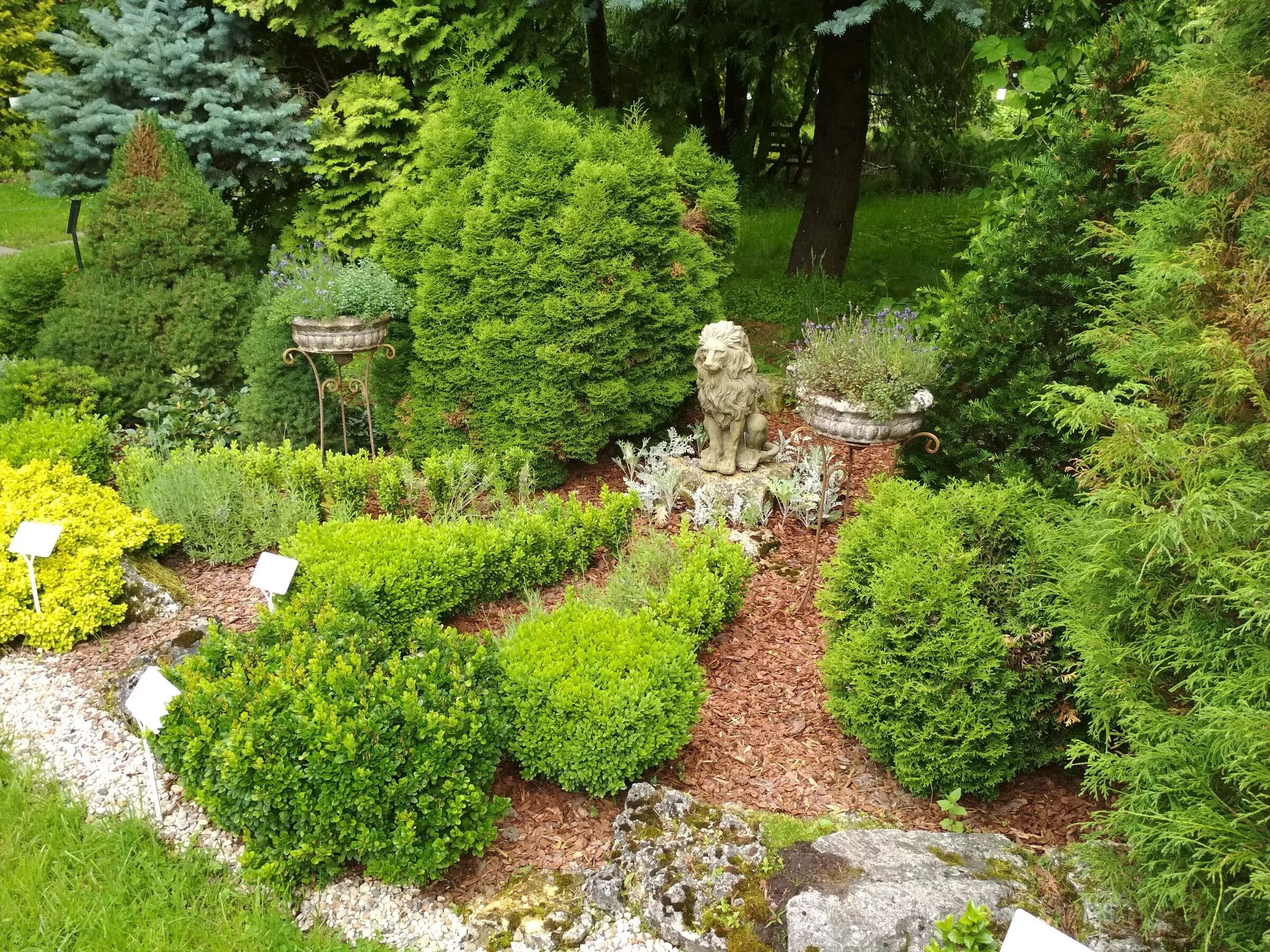 Ботанический сад твгу тверь. Ботанический сад тверского госуниверситета. Ботанический сад тверь. Ботанический сад твгу тверская область. Ботанический сад тверь.