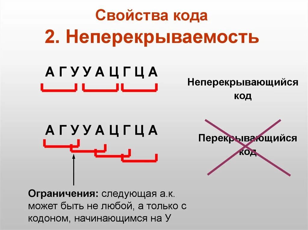 Свойства ген кода. Неперекрывающийся генетический код. Генетический код не перекрывается. Перекрывающийся код это. Свойства генетического кода Неперекрываемость.