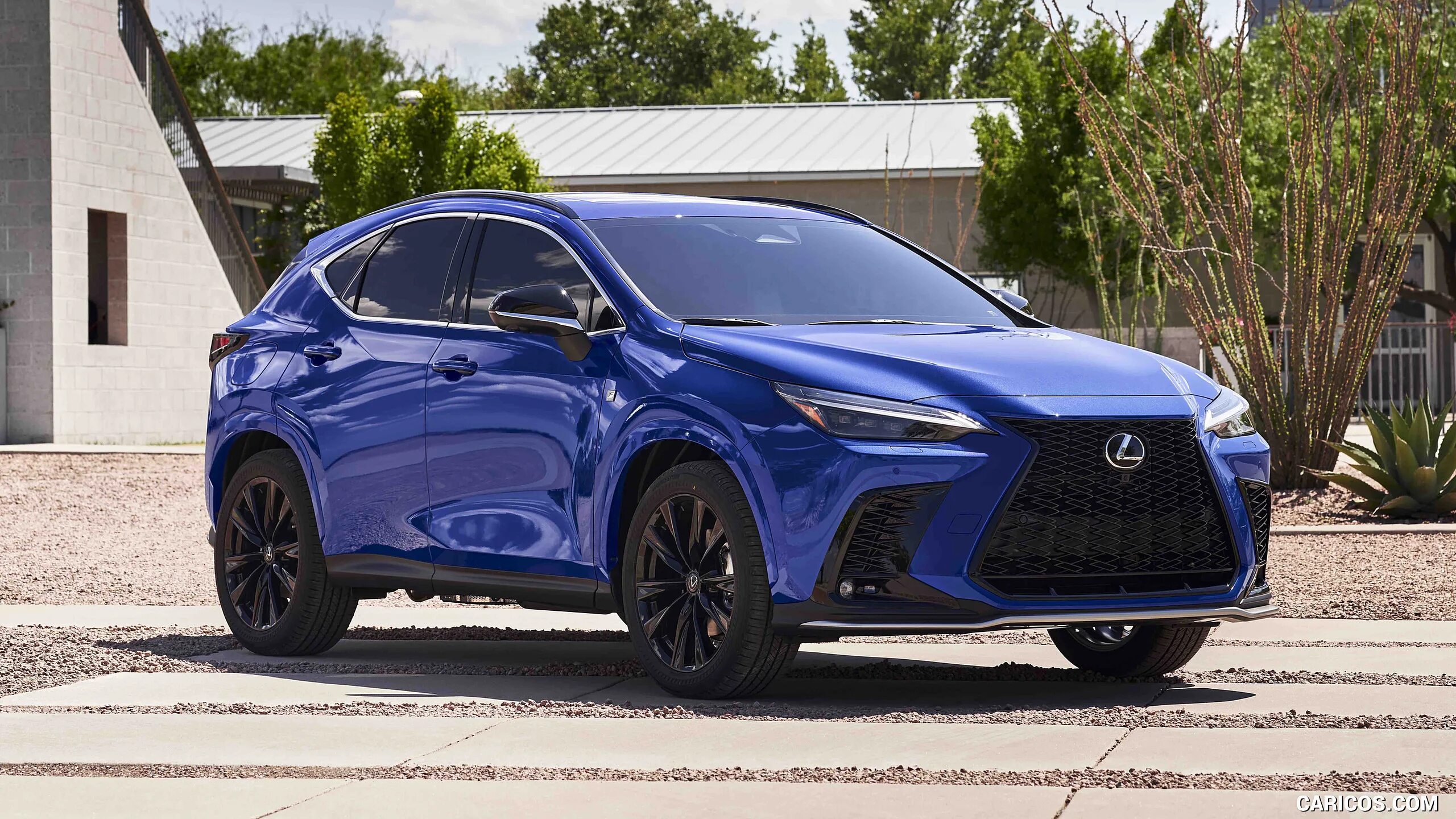 Лексус nx 250. Lexus nx 350. Лексус nx 2018. Лексус нх 2023. Lexus nx 350h 2022.