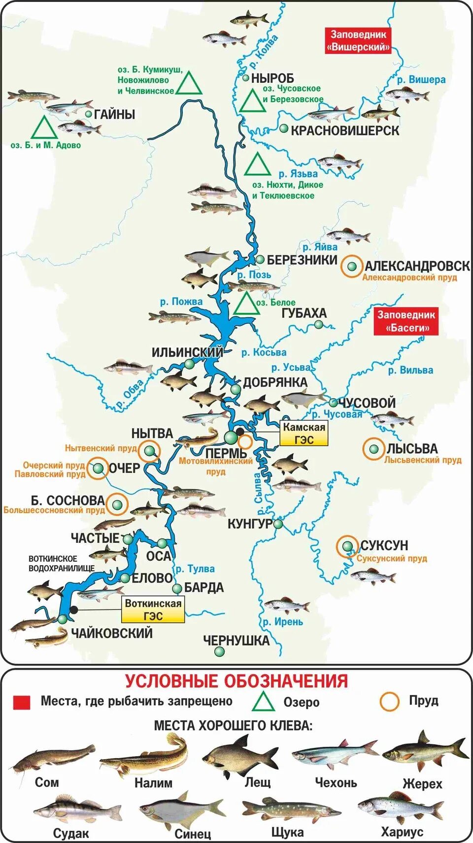 Клев в перми. Карта рыбных мест. Места рыбалки на карте. Рыбацкие места на карте. Рыболовные места на карте.