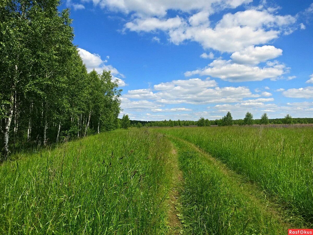 Село просторе. Просторы деревни. Просторы села. Русские просторы. Сельские просторы России.