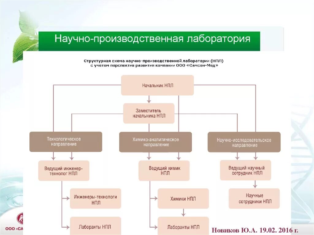 Научно производственная группа. Схема организационной структуры испытательной лаборатории. Организационная структура испытательной лаборатории схема пример. Структурная схема испытательной лаборатории. Структура производственной лаборатории на пищевых предприятиях.