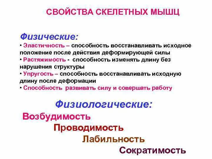 Физические и физиологические свойства скелетных мышц. Основные физиологические свойства мышц. Физиологические свойства скелетных мышц. Физико-химические свойства мышц физиология.